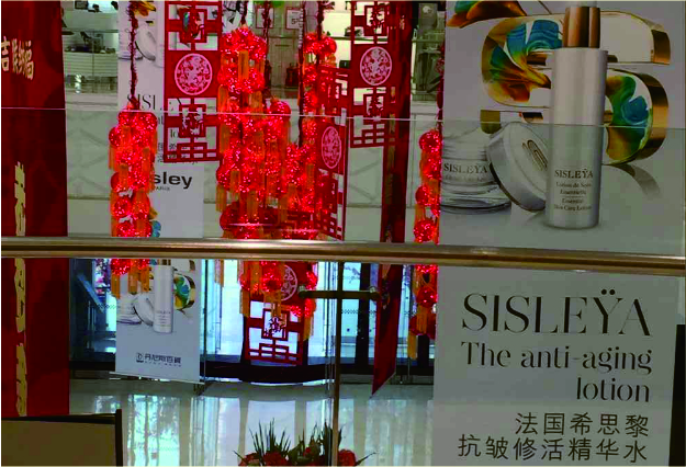 活动展示